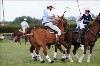 UKPA  NC Sat_1153